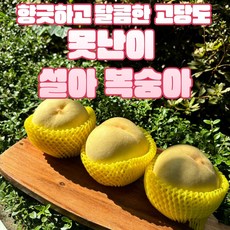 국산 / 국내산 고당도 못난이 설아 복숭아 설아복숭아 향긋하고 달콤한 겨울복숭아 제철과일 신선식품 제철 상품, 1개, 못난이 설아복숭아 특대 2kg (5~9과)