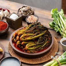 [KT알파쇼핑](온) 알토란 맛의공식 갓김치 2kg, 1개