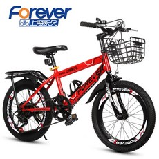 아이바이크20인치