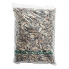 갯고동 1kg