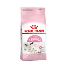 로얄캐닌키튼2kg