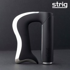 스트릭