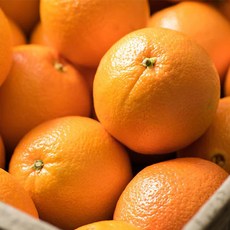 청년농부 고당도 오렌지, 1개, 6.8kg내외 발렌시아오렌지 (대과) 30과