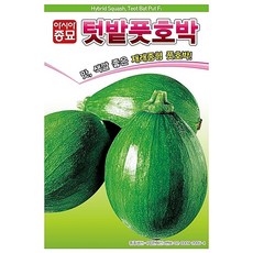조선애호박