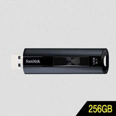 [ 유에스비 otgusbc-타입 usb메모리64gb ]_PN_샌디스크 Z880 256GB USB3.1 메모리 외장 저장장치_dlrhd_K/W:디지털/가전_종합, 이공 1