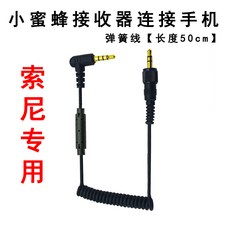 소니d21