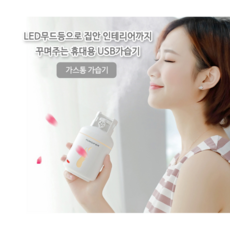 휴대용가열식미니가습기