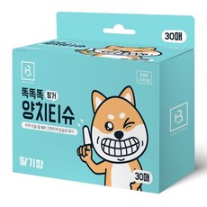 강아지 핑커 스타일 양치 티슈 30매 고양이 양 s03*5462Pz, 1개