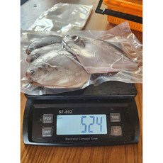 완도 급냉 손질병어 횟감용 특대 300g 병치 덕자, 횟감용 병어중4/5미 손질후 500g이상, 1개