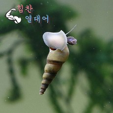 cec6c13efae5a2f3968a6f4e21dff536aa7f3291e10fce1c9bdc381ce9fc.jpg