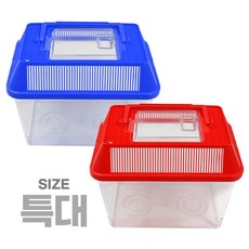 곤충박스