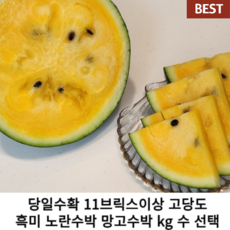 블랙보스수박