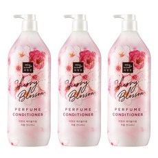 미쟝센체리블라썸