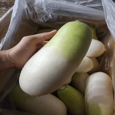 제주 세척 월동무 3kg 2-3통, 단품, 단품
