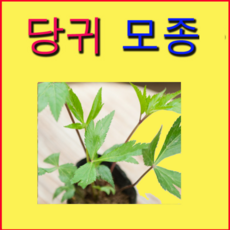 db1de1c4b647639227cf8dd08f7dd27666689505ec9e20df506f5c8d2e5b.png