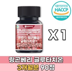 9월호맥심