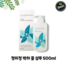 [본사정품] 청미정 박하 쿨 샴푸 500ml 충분한 수분과 영양 공급/시원한 쿨링감/상쾌한 멘톨향, 1개