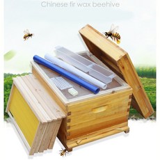 bed5f8f80a92f2d7bc18af8c0736ad43c190f10f09ee087b1841b411ec56.jpg