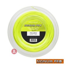 시그넘프로파이어스톰