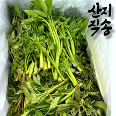 24년 국내산 향긋한 눈개승마 삼나물 1kg 2kg 건나물 100g 200g