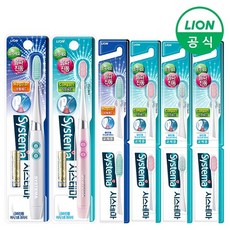 라이언전동칫솔