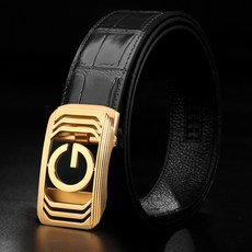 와일드브릭스벨트