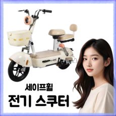 세이프휠 3C인증 전동 스쿠터 전기자전거 자토바이 2인승 출퇴근용