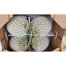 프리미엄 고당도 머스크메론 8KG 4수, 1개