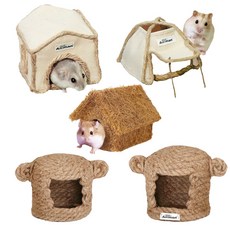 햄스터집셋트 TOP01