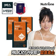 [뉴트리원]카무트 브랜드 밀 효소 골드 3박스(3개월분), 단일속성, 90g, 3개