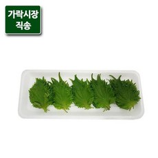 채소시소