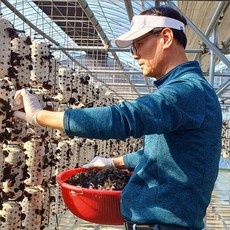 남도해풍 생목이버섯 무농약인증 말린 목이버섯 산지직송, 1개, 생목이1kg