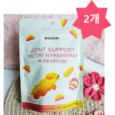 보호리 강아지 영양제 뉴트리냠냠 150g, 2개