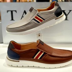 탠디보트