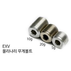 EXV 몰리나리무게볼트(5g 10g 20g) 당구개인용품, 약 10g, 1개