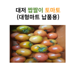 [대저 농협인증 농가] 정품 부산 대저 짭짤이 토마토