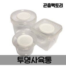 공벌레키우기세트