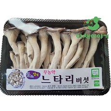 야채이야기 느타리버섯 5팩 (개당 약 200g), 5개, 200g