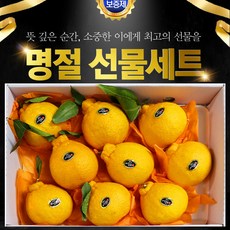 VIP백화점용 한라봉 고급 선물셋트 3kg, 1개