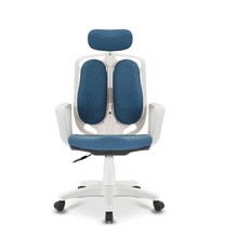 스노우L 시스템 의자 (ST-WDH501), 블루