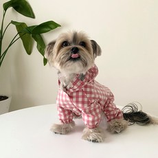 봉쥬르뚜뚜우비