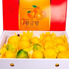 황금향제철 귤한박스 제주도귤택배 제주황금향 5kg, 1박스, 고급 황금향 5kg