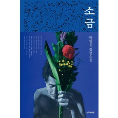 소금:박범신 장편소설, 소금, 박범신(저),한겨레출판사, 한겨레출판사