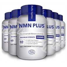 에코서트 NMN 니코틴아미드 500mg 60캡슐 6통 NMN PLUS Nicotinamide Mononucleotide