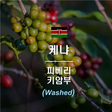 케냐 피베리 Peaberry 1kg 커피생두, 1개