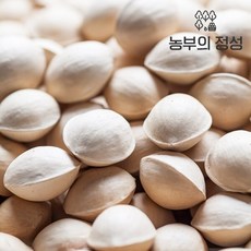 [농부의정성] 전북정읍 박경철님의 피은행 1kg(중), 단일상품, 단품