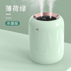 더블미스트 워터캡슐 무선 미니 가습기, 옵션03 충전형