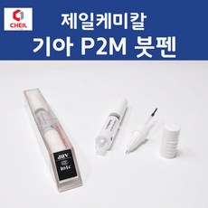 p2m붓펜