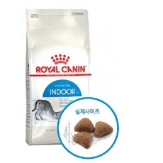 로얄캐닌인도어