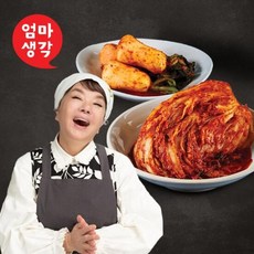 김수미 엄마생각 더프리미엄 포기김치7kg 총각김치2kg, 단품, 2kg